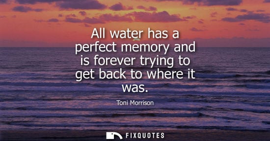 Small: All water has a perfect memory and is forever trying to get back to where it was