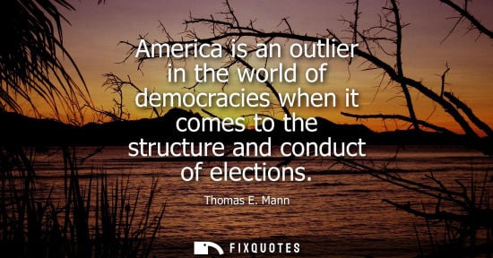 Small: America is an outlier in the world of democracies when it comes to the structure and conduct of electio