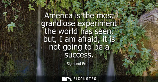Small: America is the most grandiose experiment the world has seen, but, I am afraid, it is not going to be a success