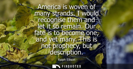 Small: America is woven of many strands. I would recognise them and let it so remain. Our fate is to become on