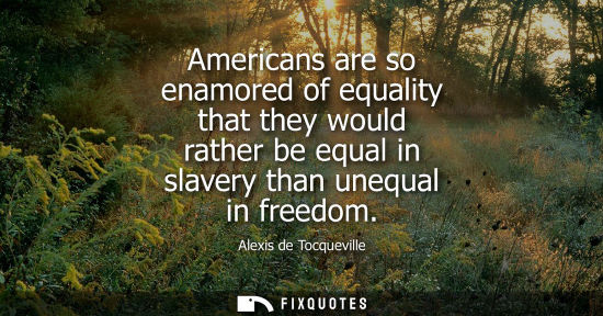 Small: Americans are so enamored of equality that they would rather be equal in slavery than unequal in freedo
