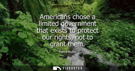 Small: Americans chose a limited government that exists to protect our rights, not to grant them