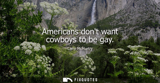 Small: Americans dont want cowboys to be gay