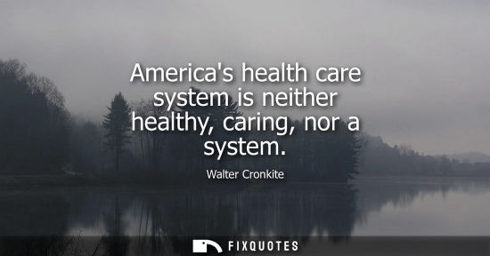 Small: Americas health care system is neither healthy, caring, nor a system