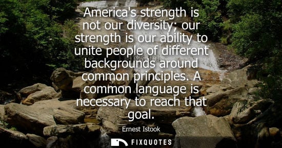 Small: Americas strength is not our diversity our strength is our ability to unite people of different backgro