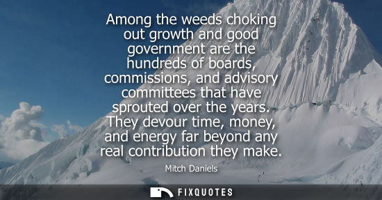 Small: Among the weeds choking out growth and good government are the hundreds of boards, commissions, and advisory c