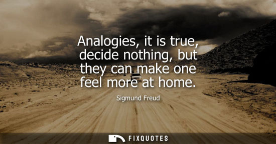 Small: Analogies, it is true, decide nothing, but they can make one feel more at home