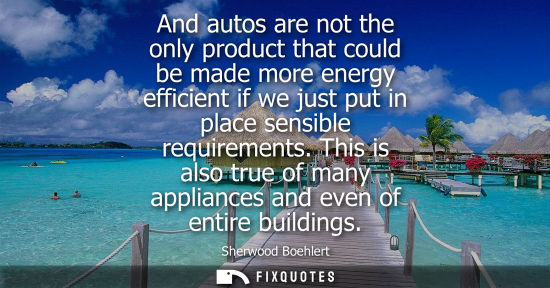 Small: And autos are not the only product that could be made more energy efficient if we just put in place sen