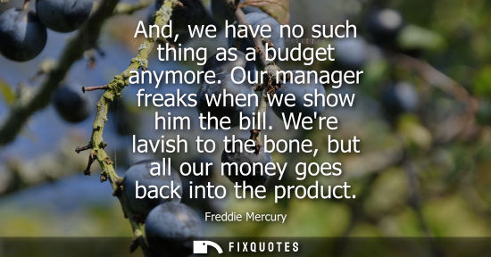 Small: And, we have no such thing as a budget anymore. Our manager freaks when we show him the bill. Were lavi