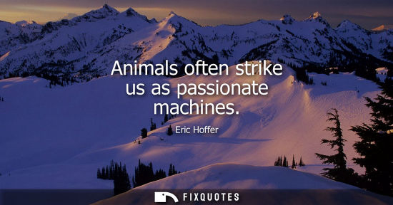 Small: Animals often strike us as passionate machines