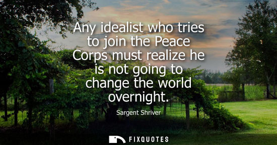 Small: Any idealist who tries to join the Peace Corps must realize he is not going to change the world overnig