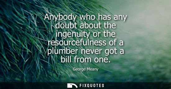 Small: Anybody who has any doubt about the ingenuity or the resourcefulness of a plumber never got a bill from