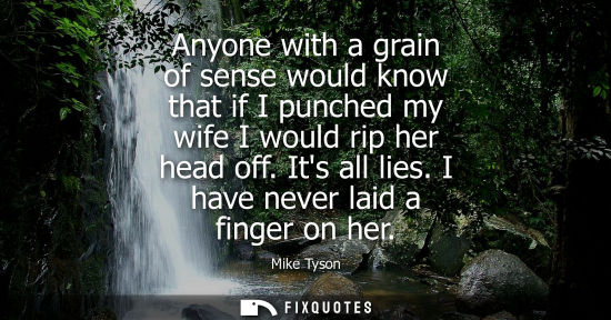 Small: Anyone with a grain of sense would know that if I punched my wife I would rip her head off. Its all lie