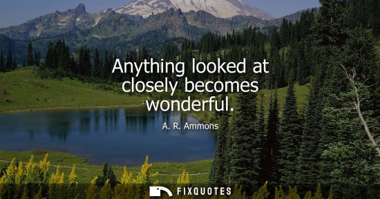 Small: Anything looked at closely becomes wonderful