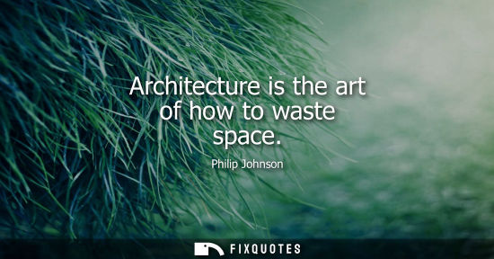 Small: Architecture is the art of how to waste space