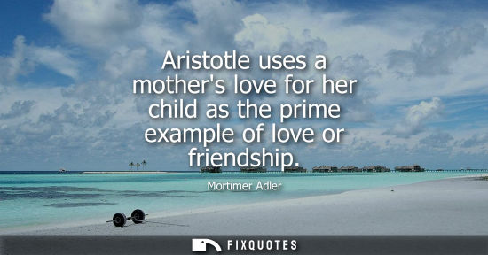 Small: Aristotle uses a mothers love for her child as the prime example of love or friendship