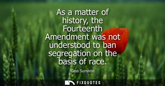 Small: As a matter of history, the Fourteenth Amendment was not understood to ban segregation on the basis of 