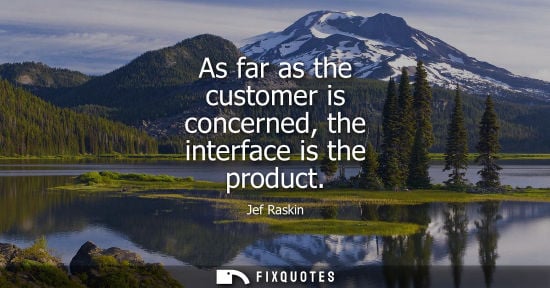 Small: As far as the customer is concerned, the interface is the product