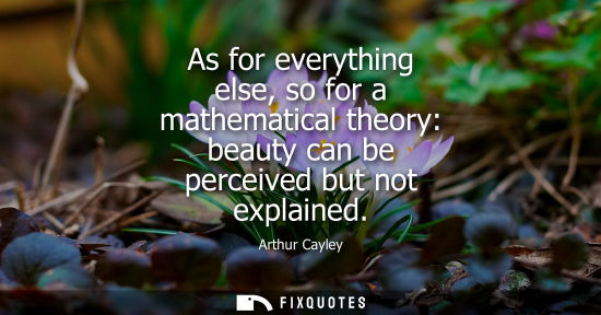 Small: As for everything else, so for a mathematical theory: beauty can be perceived but not explained