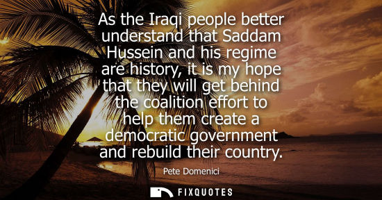 Small: As the Iraqi people better understand that Saddam Hussein and his regime are history, it is my hope tha