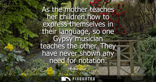 Small: As the mother teaches her children how to express themselves in their language, so one Gypsy musician t