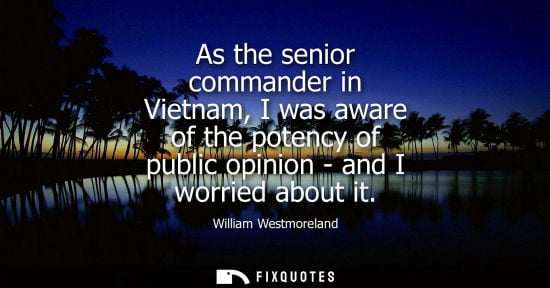 Small: As the senior commander in Vietnam, I was aware of the potency of public opinion - and I worried about 