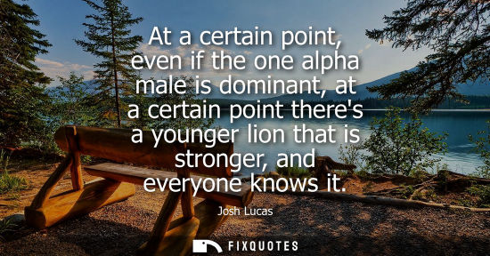 Small: At a certain point, even if the one alpha male is dominant, at a certain point theres a younger lion th
