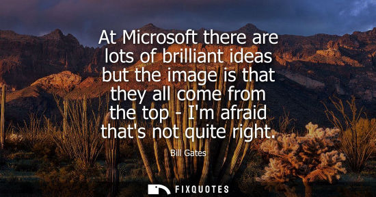 Small: At Microsoft there are lots of brilliant ideas but the image is that they all come from the top - Im afraid th