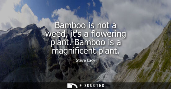 Small: Bamboo is not a weed, its a flowering plant. Bamboo is a magnificent plant