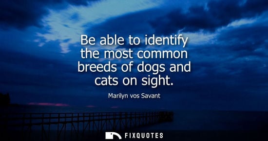 Small: Be able to identify the most common breeds of dogs and cats on sight