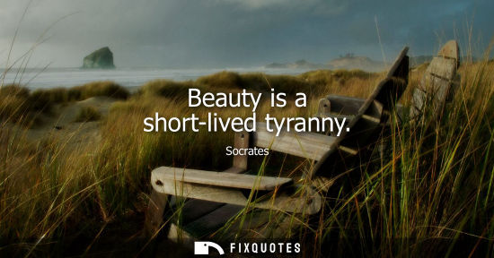 Small: Beauty is a short-lived tyranny