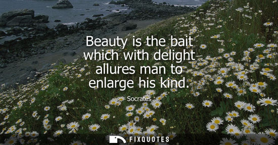 Small: Beauty is the bait which with delight allures man to enlarge his kind