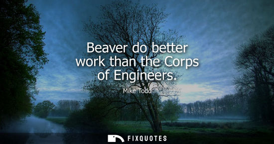 Small: Beaver do better work than the Corps of Engineers
