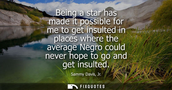 Small: Being a star has made it possible for me to get insulted in places where the average Negro could never 