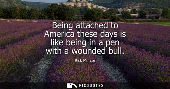 Small: Being attached to America these days is like being in a pen with a wounded bull