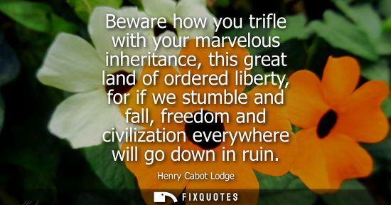Small: Beware how you trifle with your marvelous inheritance, this great land of ordered liberty, for if we st