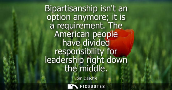 Small: Bipartisanship isnt an option anymore it is a requirement. The American people have divided responsibil