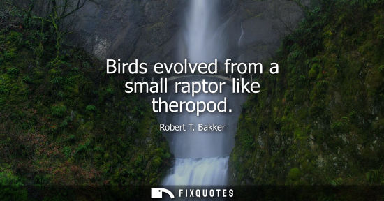 Small: Birds evolved from a small raptor like theropod
