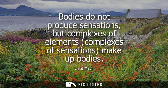 Small: Bodies do not produce sensations, but complexes of elements (complexes of sensations) make up bodies
