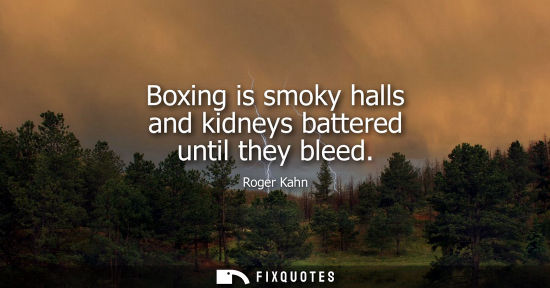 Small: Boxing is smoky halls and kidneys battered until they bleed