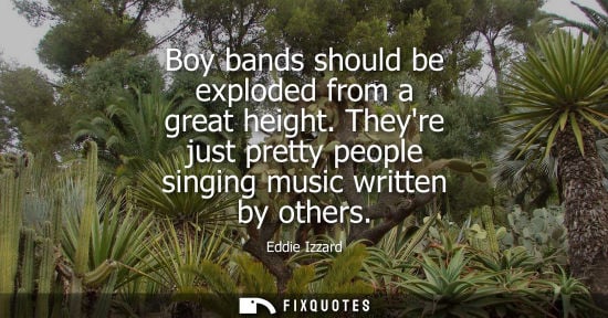 Small: Boy bands should be exploded from a great height. Theyre just pretty people singing music written by ot
