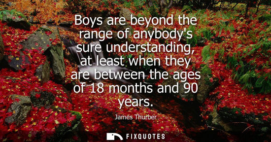 Small: Boys are beyond the range of anybodys sure understanding, at least when they are between the ages of 18