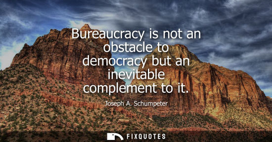 Small: Bureaucracy is not an obstacle to democracy but an inevitable complement to it