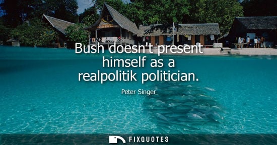 Small: Bush doesnt present himself as a realpolitik politician