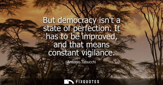Small: But democracy isnt a state of perfection. It has to be improved, and that means constant vigilance