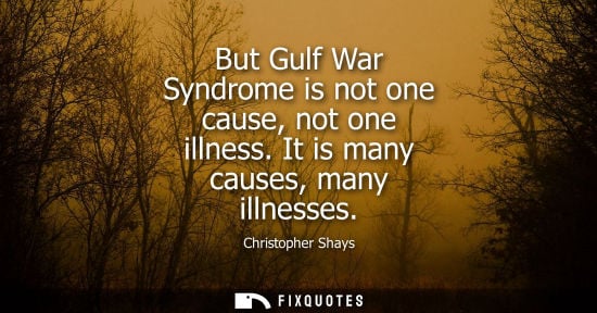 Small: But Gulf War Syndrome is not one cause, not one illness. It is many causes, many illnesses