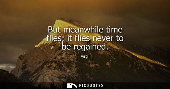 Small: But meanwhile time flies it flies never to be regained