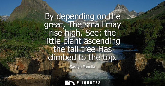Small: By depending on the great, The small may rise high. See: the little plant ascending the tall tree Has c