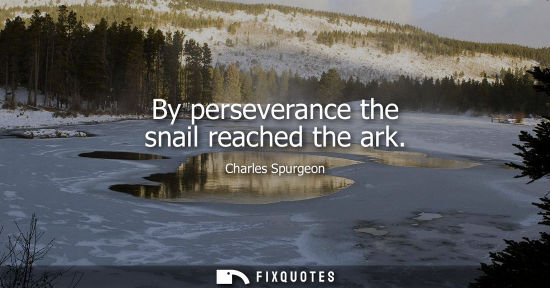 Small: By perseverance the snail reached the ark