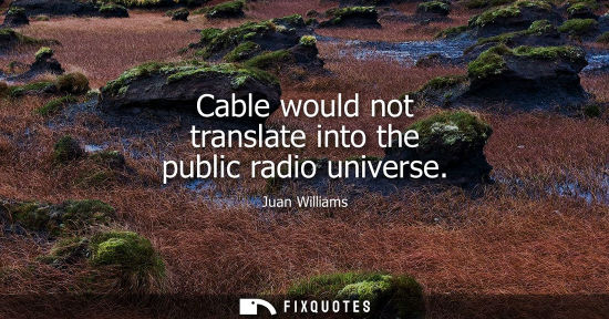 Small: Cable would not translate into the public radio universe